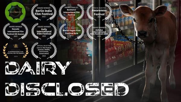 Dairy Disclosed - movie poster
