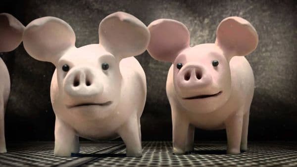 A Pig's Tail - Animated Short Film