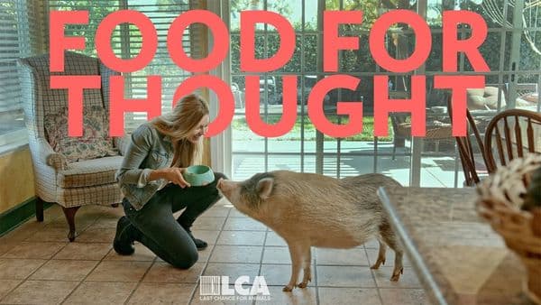 Food for Thought - LCA's Award-Winning PSA