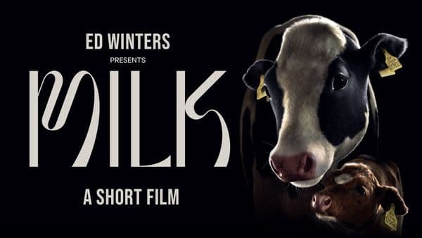 MILK - A Short Film From a Mother's Perspective